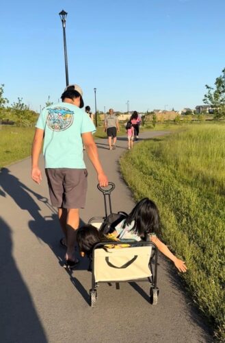 Collapsible Foldable Wagon Cart photo review